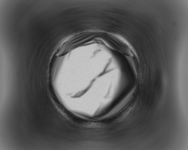 X0000082950437200703020153