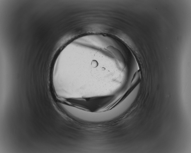 X0000082950438200703020153