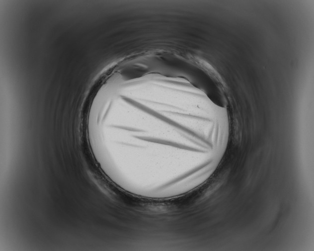 X0000082950439200703020153