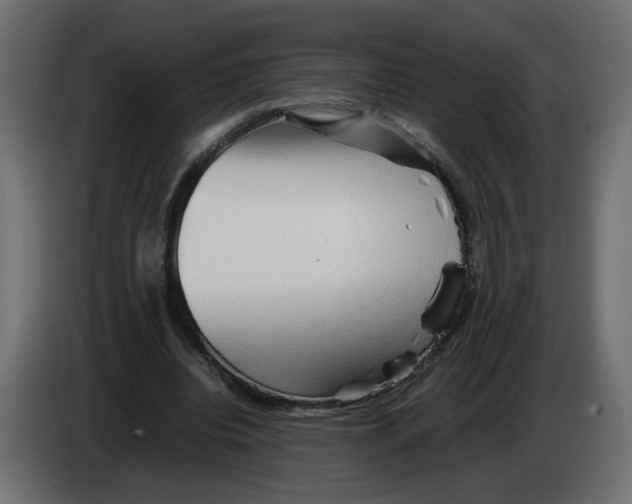 X0000082950440200703020153