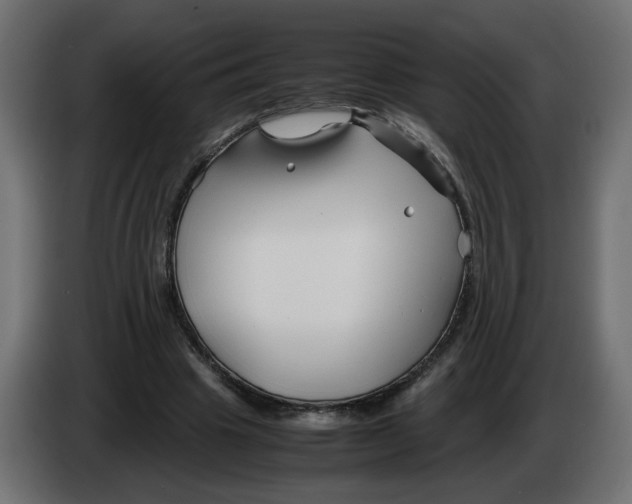 X0000082950441200703020153