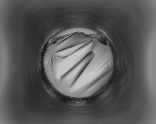 X0000082950443200703020153