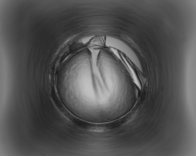 X0000082950444200703020153