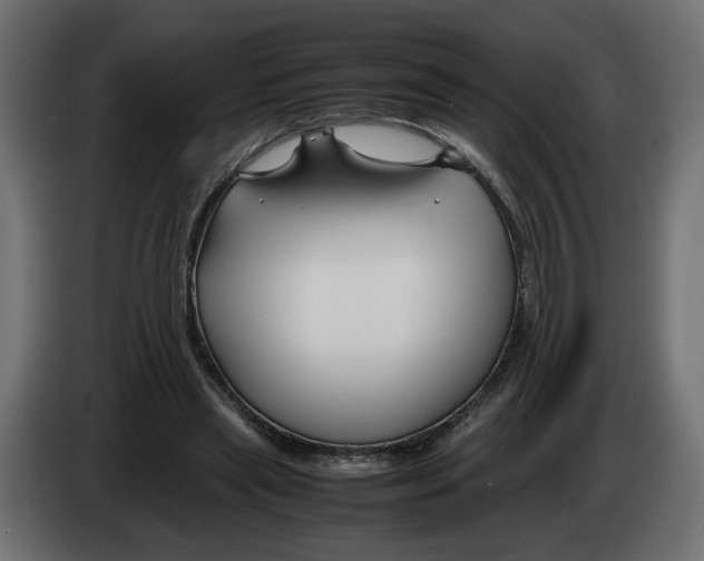 X0000082950445200703020153