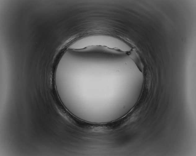 X0000082950446200703020153