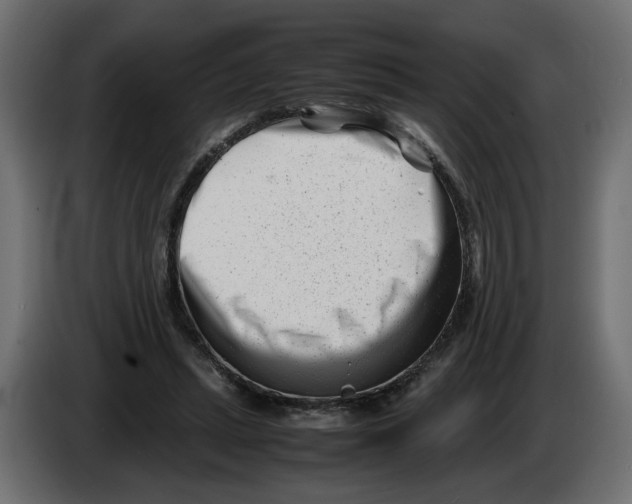 X0000082950447200703020153