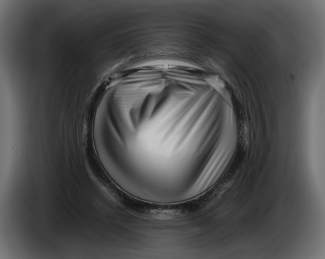 X0000082950448200703020153