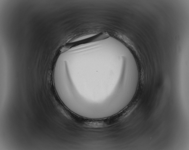 X0000082950449200703020153