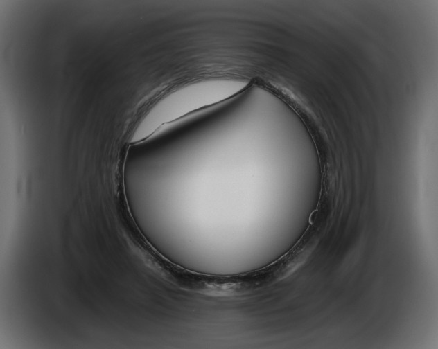 X0000082950450200703020153