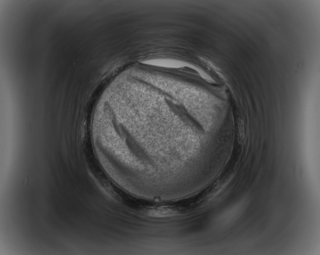 X0000082950451200703020153