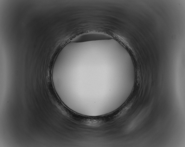 X0000082950453200703020153