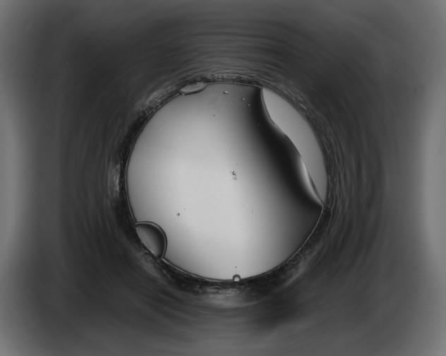 X0000082950454200703020153