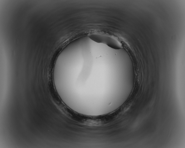 X0000082950455200703020153