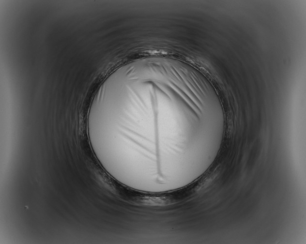 X0000082950457200703020153