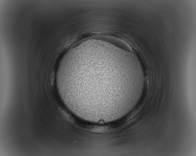 X0000082950458200703020153