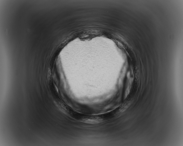 X0000082950459200703020153