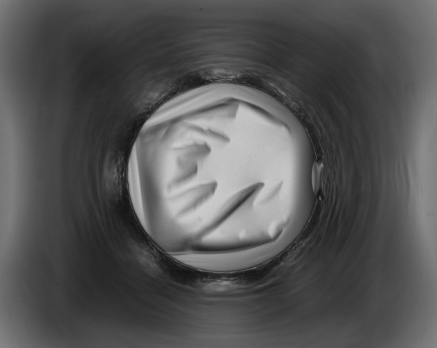 X0000082950460200703020153