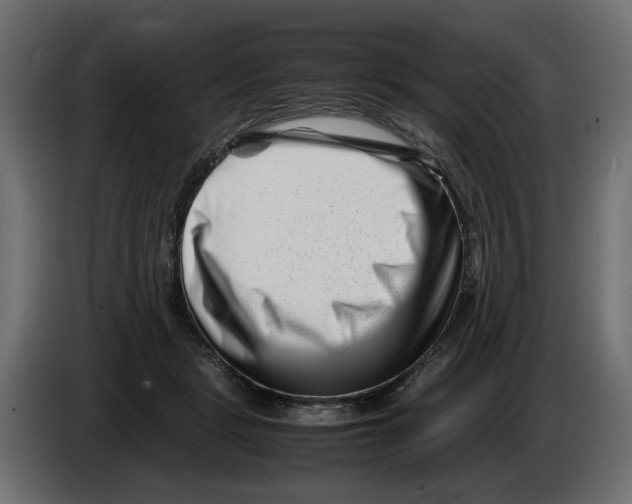 X0000082950461200703020153