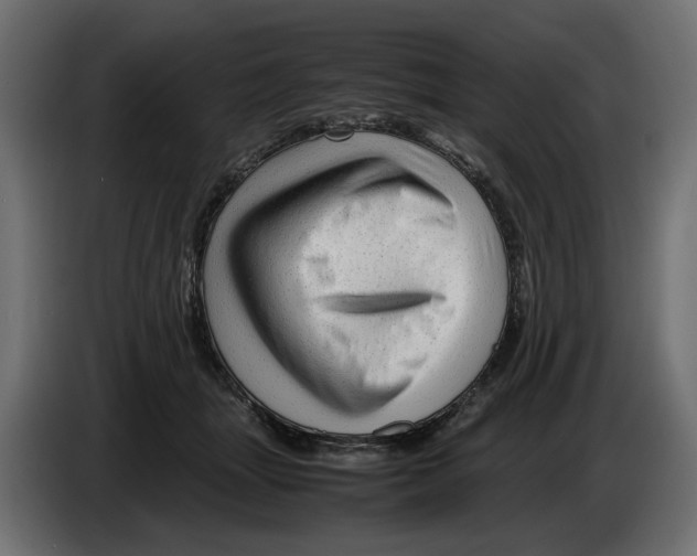 X0000082950463200703020153