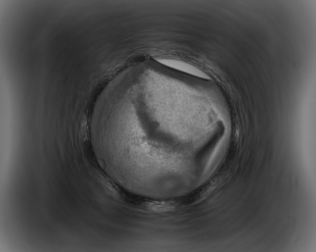 X0000082950465200703020153