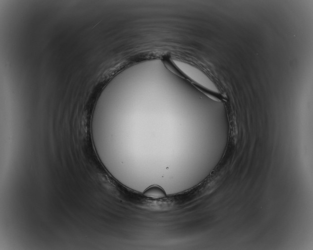 X0000082950466200703020153