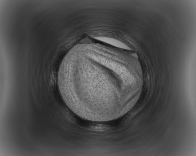 X0000082950467200703020153