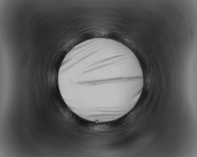 X0000082950468200703020153