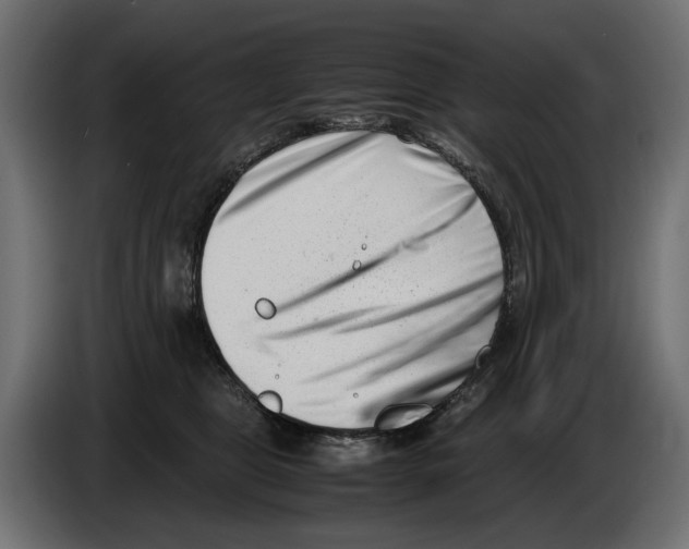 X0000082950469200703020153