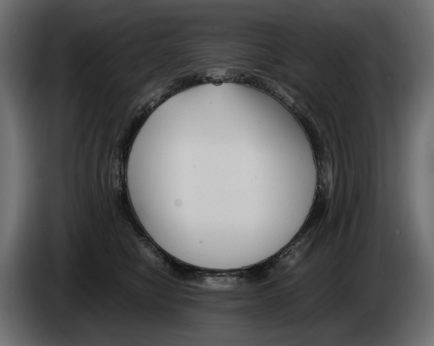 X0000082950470200703020153