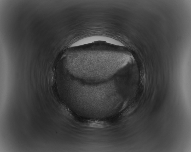 X0000082950471200703020153