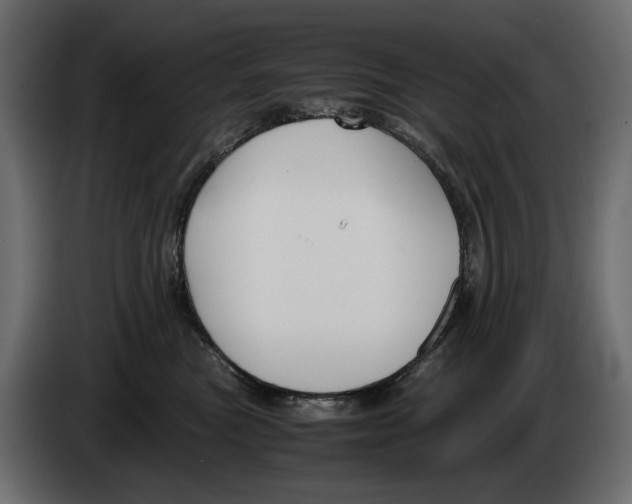 X0000082950473200703020153