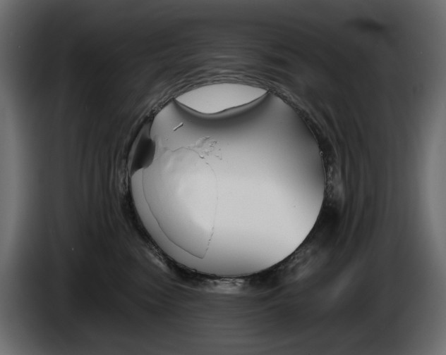 X0000082950474200703020153