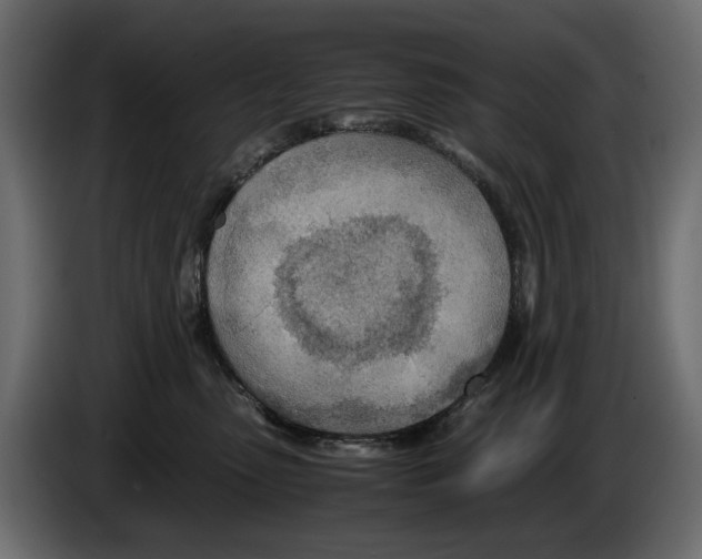 X0000082950475200703020153