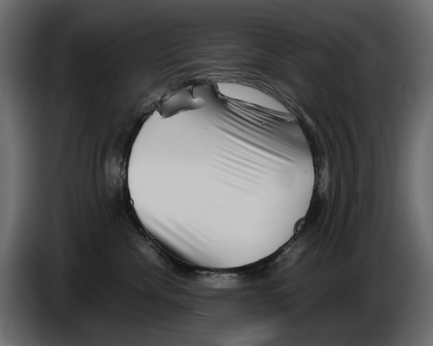 X0000082950476200703020153