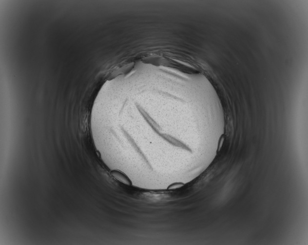 X0000082950477200703020153