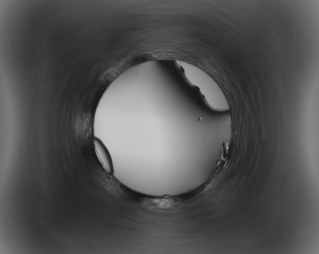 X0000082950478200703020153