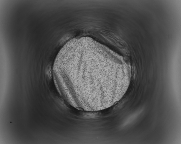 X0000082950479200703020153