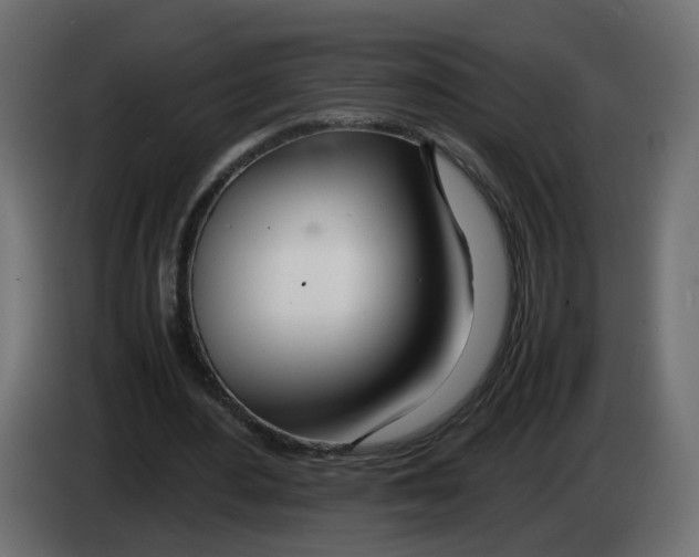 X0000082950484200703020153