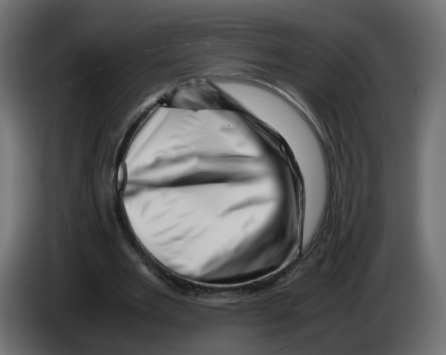 X0000082950485200703020153