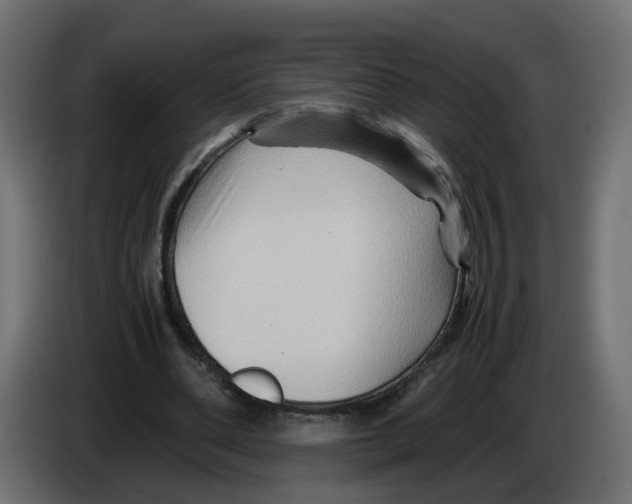 X0000082950486200703020153