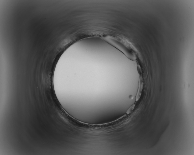 X0000082950489200703020153