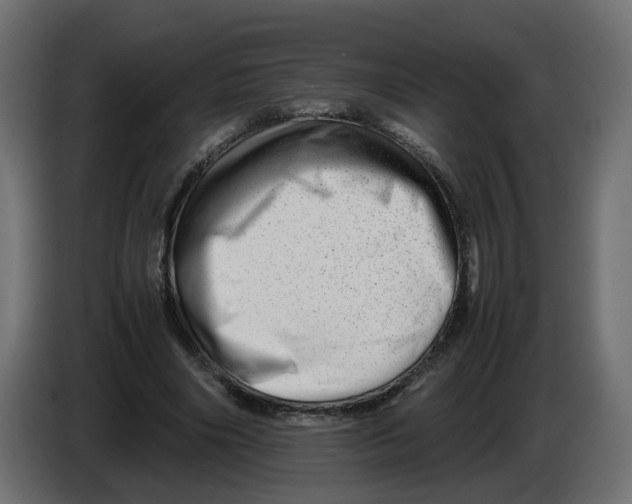 X0000082950490200703020153