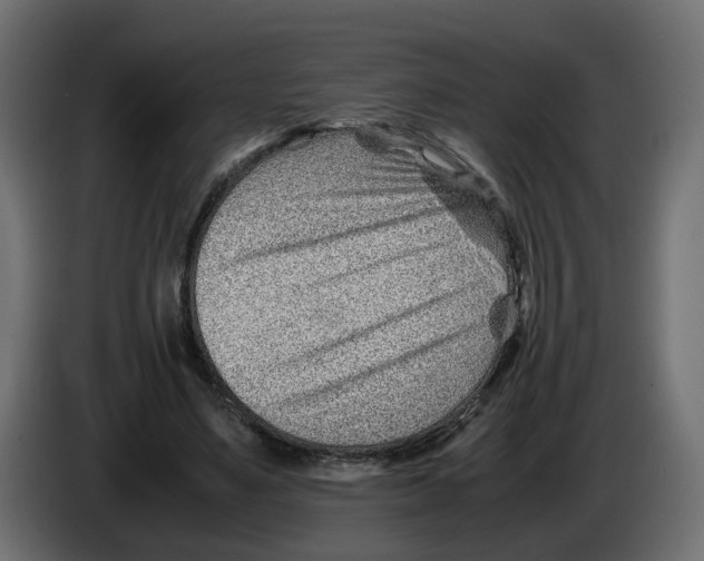 X0000082950491200703020153