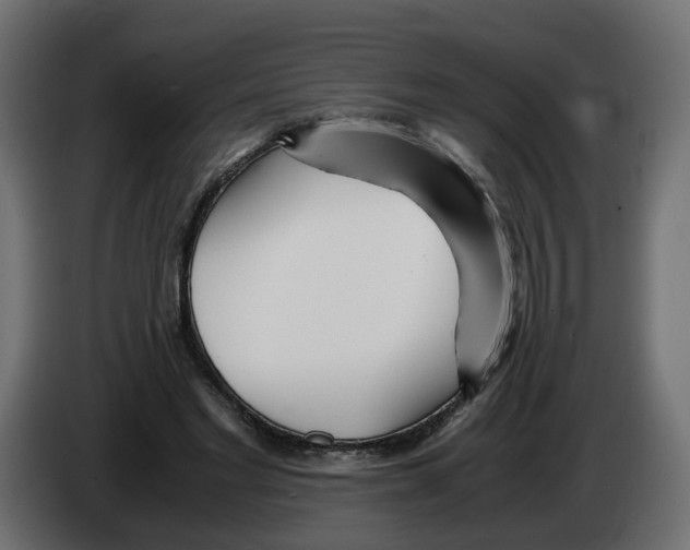 X0000082950493200703020153