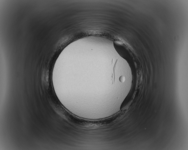 X0000082950494200703020153