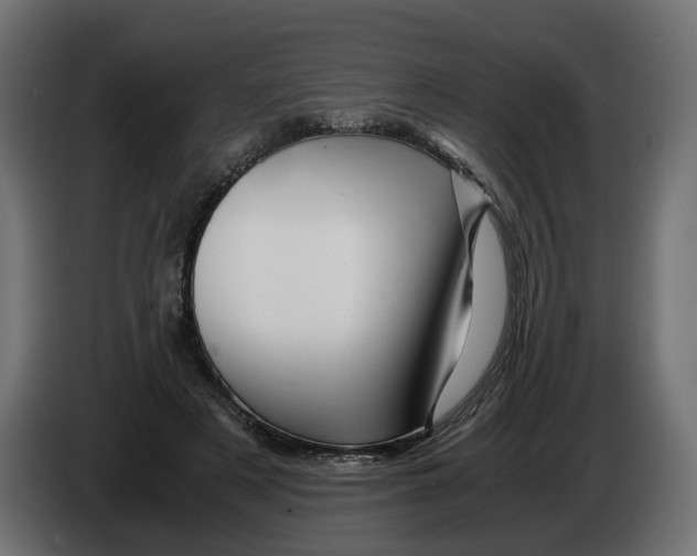 X0000082950497200703020153