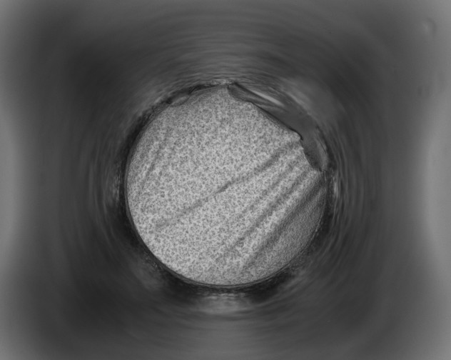 X0000082950499200703020153