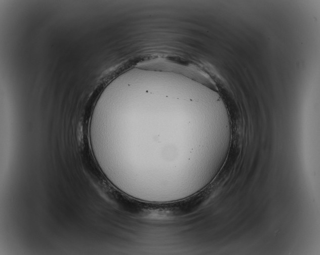 X0000082950500200703020153