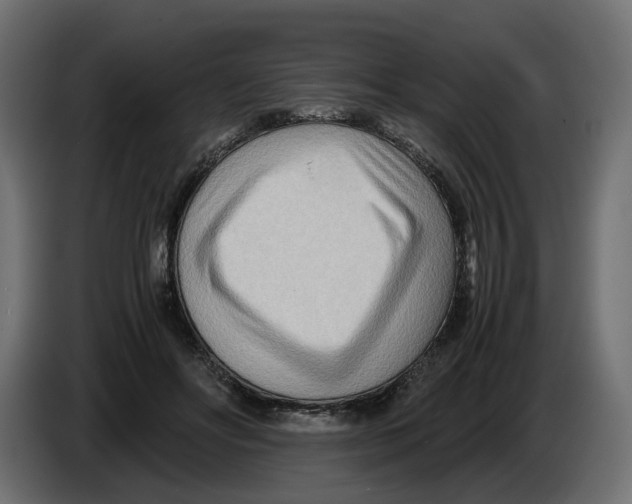 X0000082950502200703020153