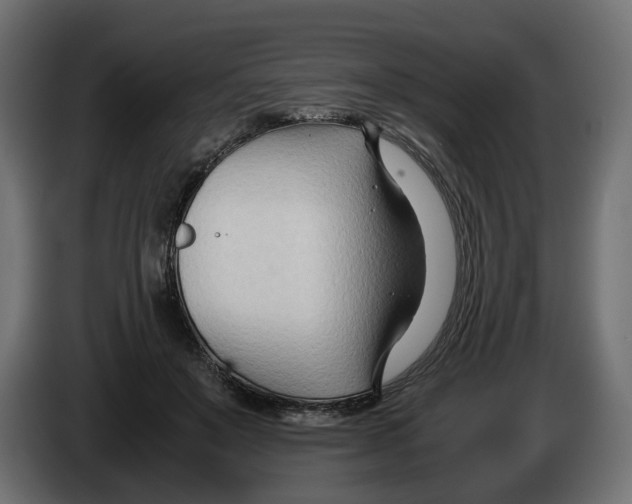 X0000082950503200703020152